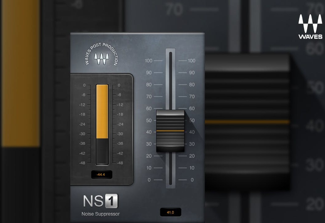 NS1